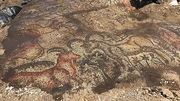 Adıyaman'da 1600 yıllık mozaik bulundu