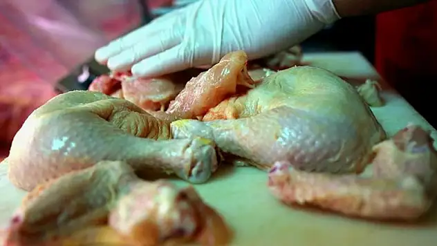 Sıcak havaların riskli bakterisi: Salmonella