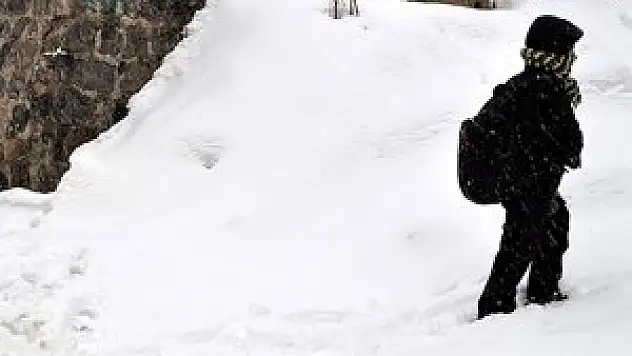 Kar okulları tatil etti