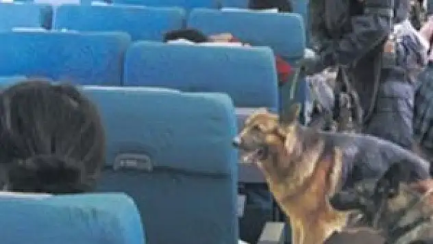 Bu da Norveç küstahlığı!