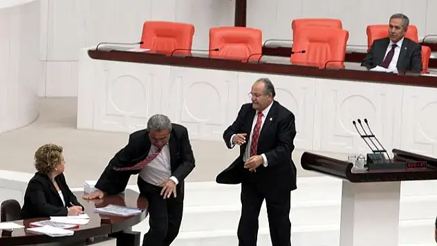 Çiçek isyan etti, 'Meclis'in seviyesi sıfırın altında'