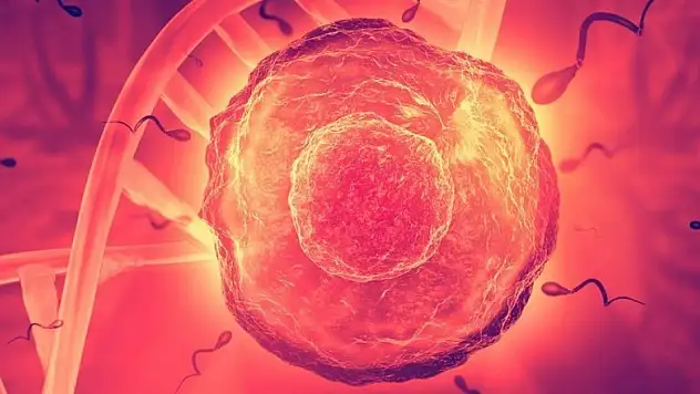 'Biyolojik saat sadece kadınlar değil erkekler için de ilerliyor'