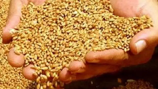 Konya'da hububat fiyatları