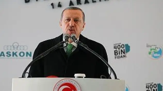 2 milyar 800 milyon fidanı toprakla buluşturduk