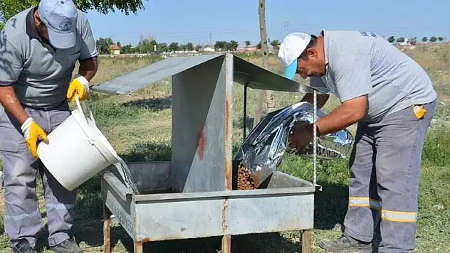 Karatay Belediyesi sokak hayvanlarını unutmuyor