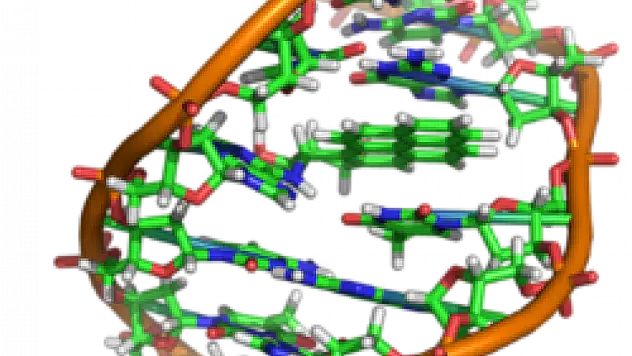 İkinci DNA kodu bulundu