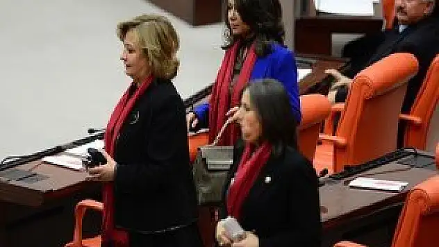 Kadın milletvekillerinden 'küfüre' tepki