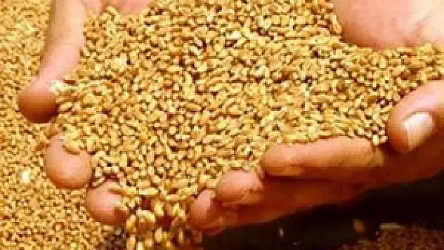 Konya'da hububat fiyatları