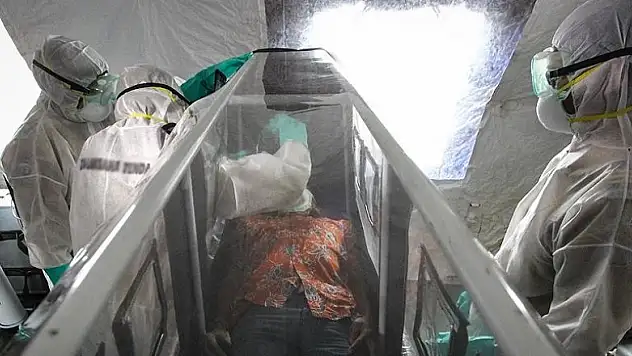 Ebola virüsü spermde iki yıl yaşayabiliyor