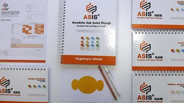 İlk yerli testten 13 bin dahi çıktı!