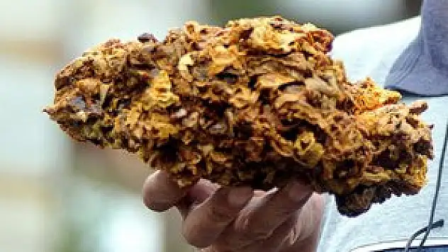 Propolisin faydaları bilimsel olarak kanıtlandı