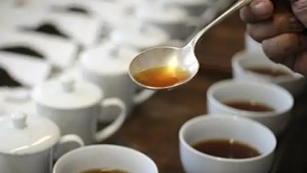 Doğanın şifacıları bakanlık takibinde