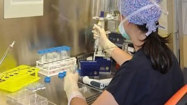 Kanser bir yılda 8 milyon can aldı