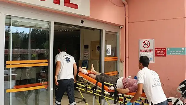 Sağlık Bakanı Demircan'dan 'acemi kasaplara' uyarı