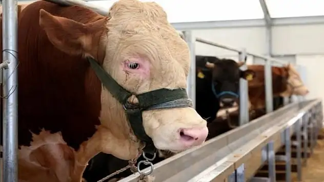 Bakanlık'tan kritik uyarı