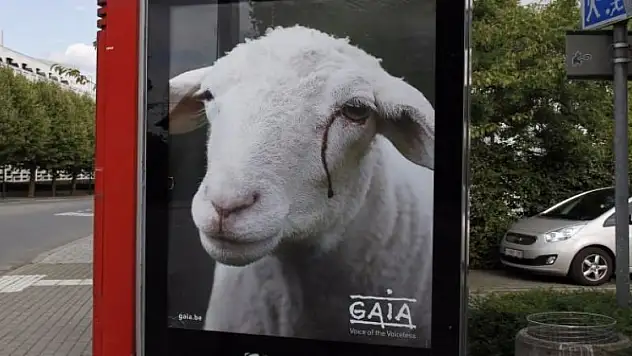 Kurban Bayramında tepki çeken afiş!