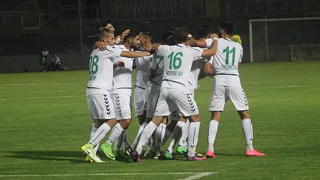 Anadolu'nun iç sahada firesi yok