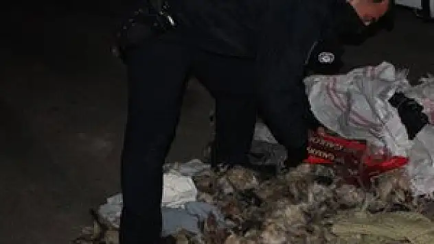 Kaçak sigaralar bu kez...