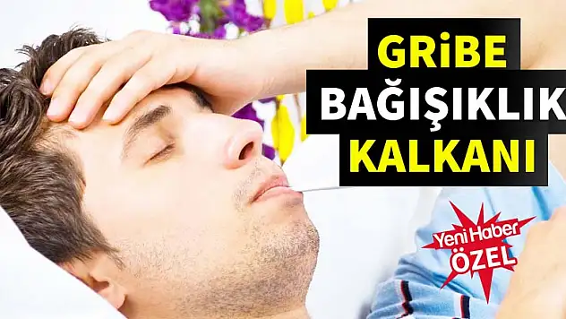 Gribe bağışıklık kalkanı