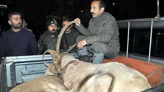 Suçüstü yakalandılar!