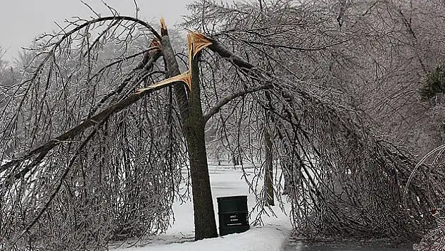 Kanada'da fırtına hayatı felç etti