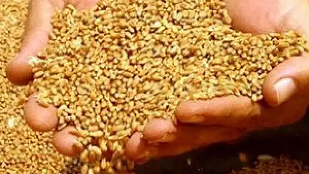 Konya'da hububat fiyatları