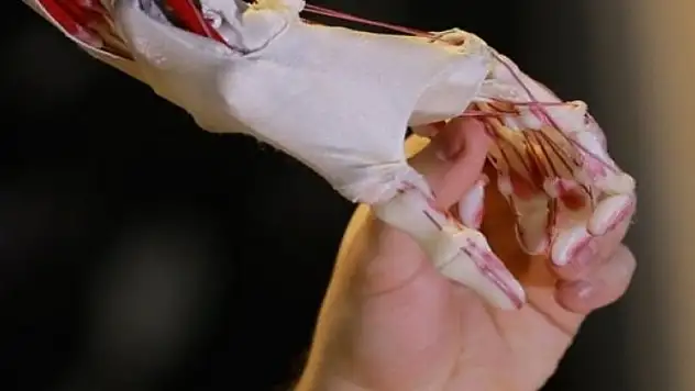 Bu meslekleri yapanlar dikkat! 2024'te yoksunuz