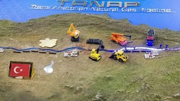 Türkiye'nin TANAP'taki hissesi artırıldı