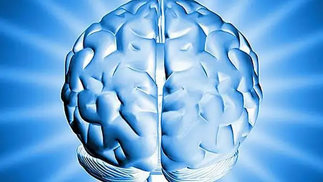 Beyin kanserinin 'meslek hastalığı'na girebileceği kararı