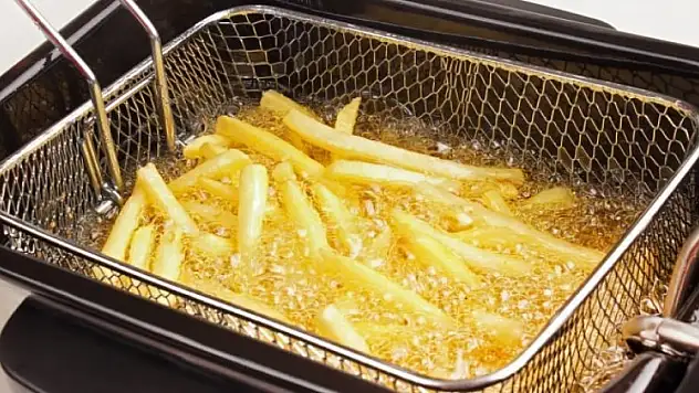 Küresel ısınmayla mücadelede 'kızartma' önemli!