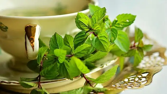 Mevsim hastalıklarından korunmak için bitki çayı tarifi
