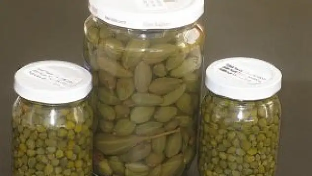 'Turpgiller kanserden koruyor'