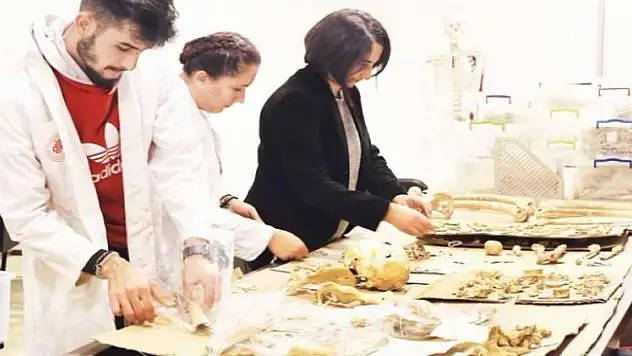 8500 yıllık hemşeriler gen masasında