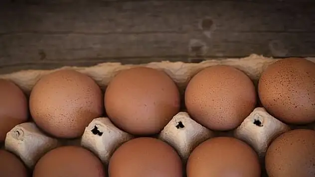 Numaralarına bakmadan almayın!