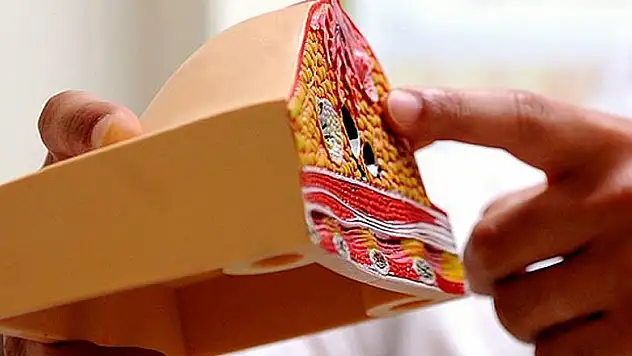 Tümör baskılayıcı genin mutasyonu kansere neden oluyor