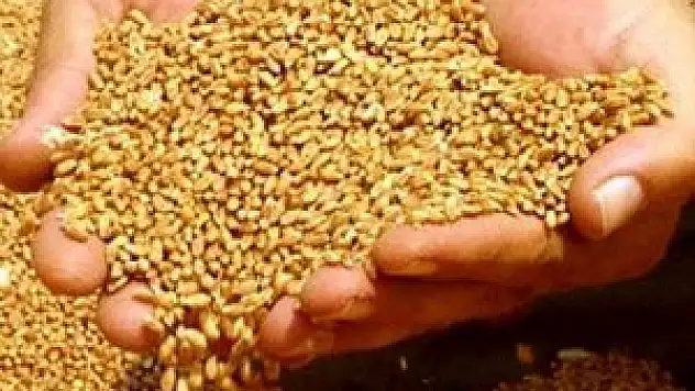 Konya'da hububat fiyatları