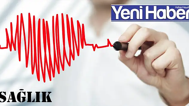 O ildeki obezite merkezi yılda 1 ton kilo verdirdi