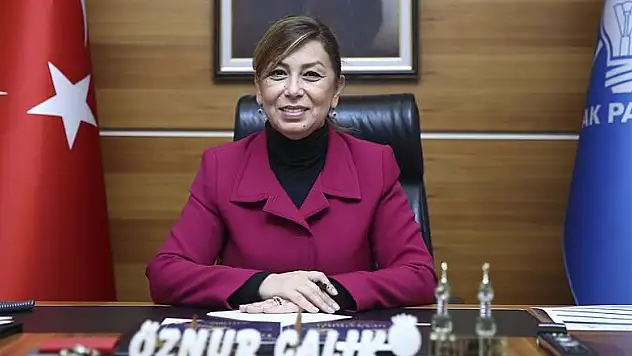 Göçmenler 'Anadolu Dünya Dolu' programında buluşacak