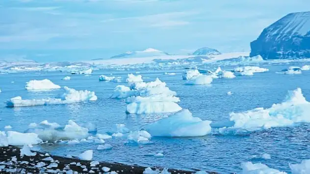 Buzullar için ilginç yorum: Buzdolabının kapısı açık