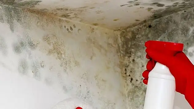 Rutubet kokusunu anında geçiren yöntemler!