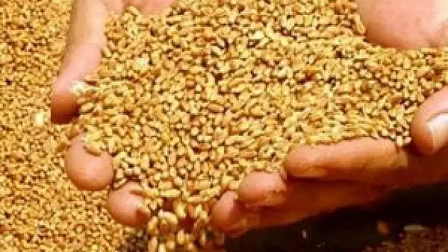 Konya'da hububat fiyatları