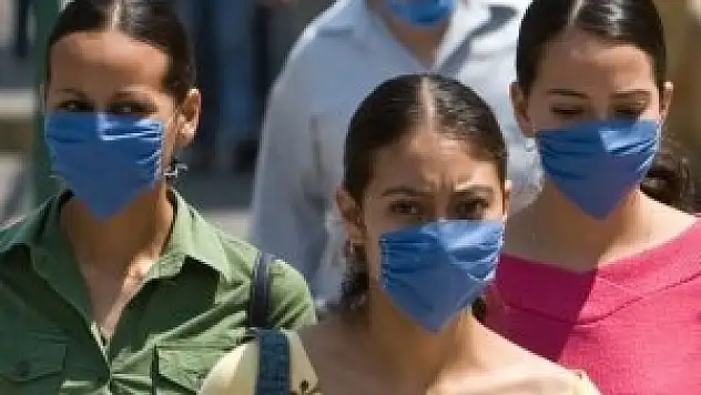 Domuz gribi 6 can aldı