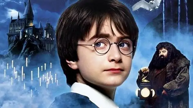 Harry Poter'ın yazarı Rowling'in avukatına ceza