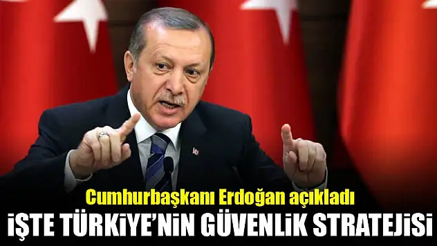 Erdoğan açıkladı: İşte Türkiye'nin stratejisi