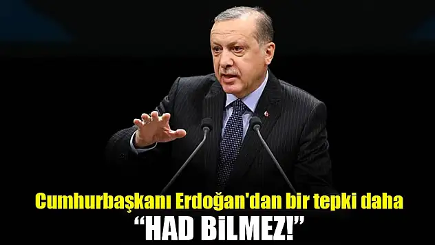 Erdoğan'dan bir tepki daha! Had bilmez...