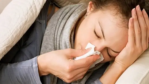 Domuz gribinden beter grip virüsü: H3N2