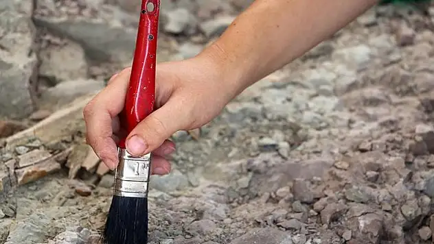 Dünyanın en eski yosun fosili 1 milyar yaşında