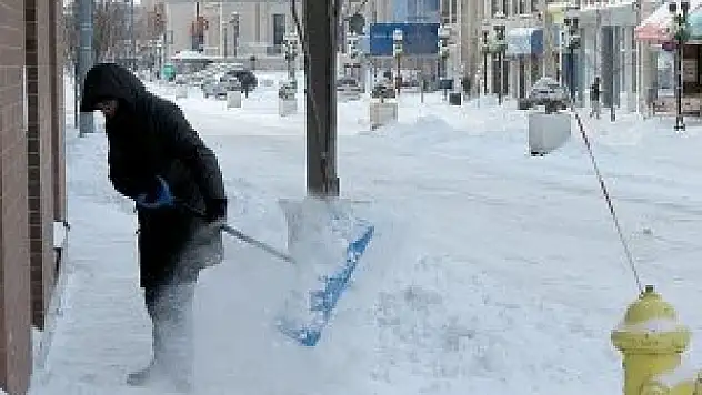 Herkül 16 can aldı