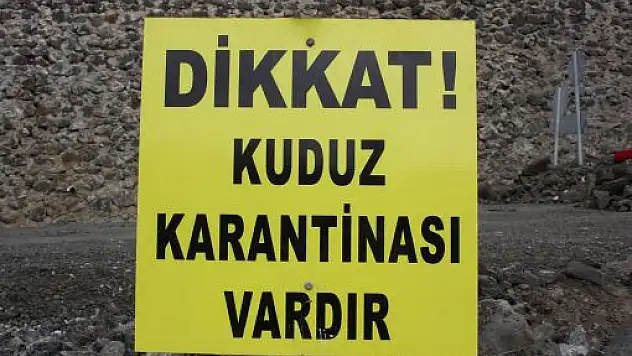 Konya'da kuduz köpek paniği