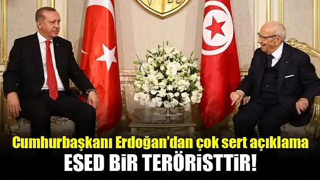 Cumhurbaşkanı Erdoğan: Esed bir teröristtir!